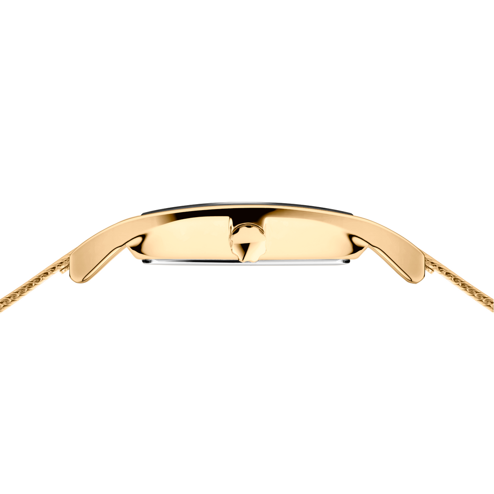 Gold watch case and straps viewed from back with mesh band construction