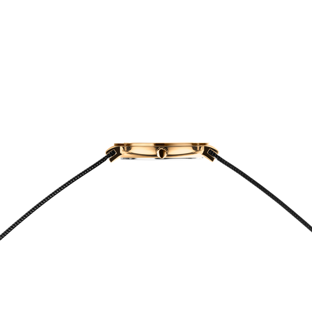 Boîte de montre avec cornes dorées et bracelets tissés noirs