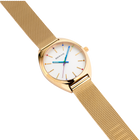 Freedom Mesh 36 mm Watch Gold