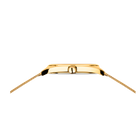 Freedom Mesh-Uhr 40 mm Gold