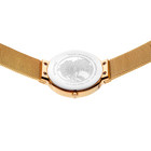 Pulsera malla champagne con fondo de caja zafiro transparente mostrando el movimiento