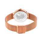 Roségoldene Meshband-Uhr mit Weltkartenzifferblatt, von hinten