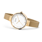 Solar Mesh Watch Bicolor