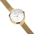 Solar Mesh Watch Bicolor