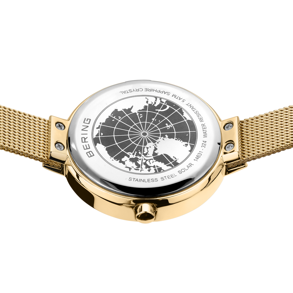 Solar Mesh Watch Bicolor