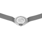 Zilvergekleurig polshorloge met roestvrijstalen kast en mesh-armband.
