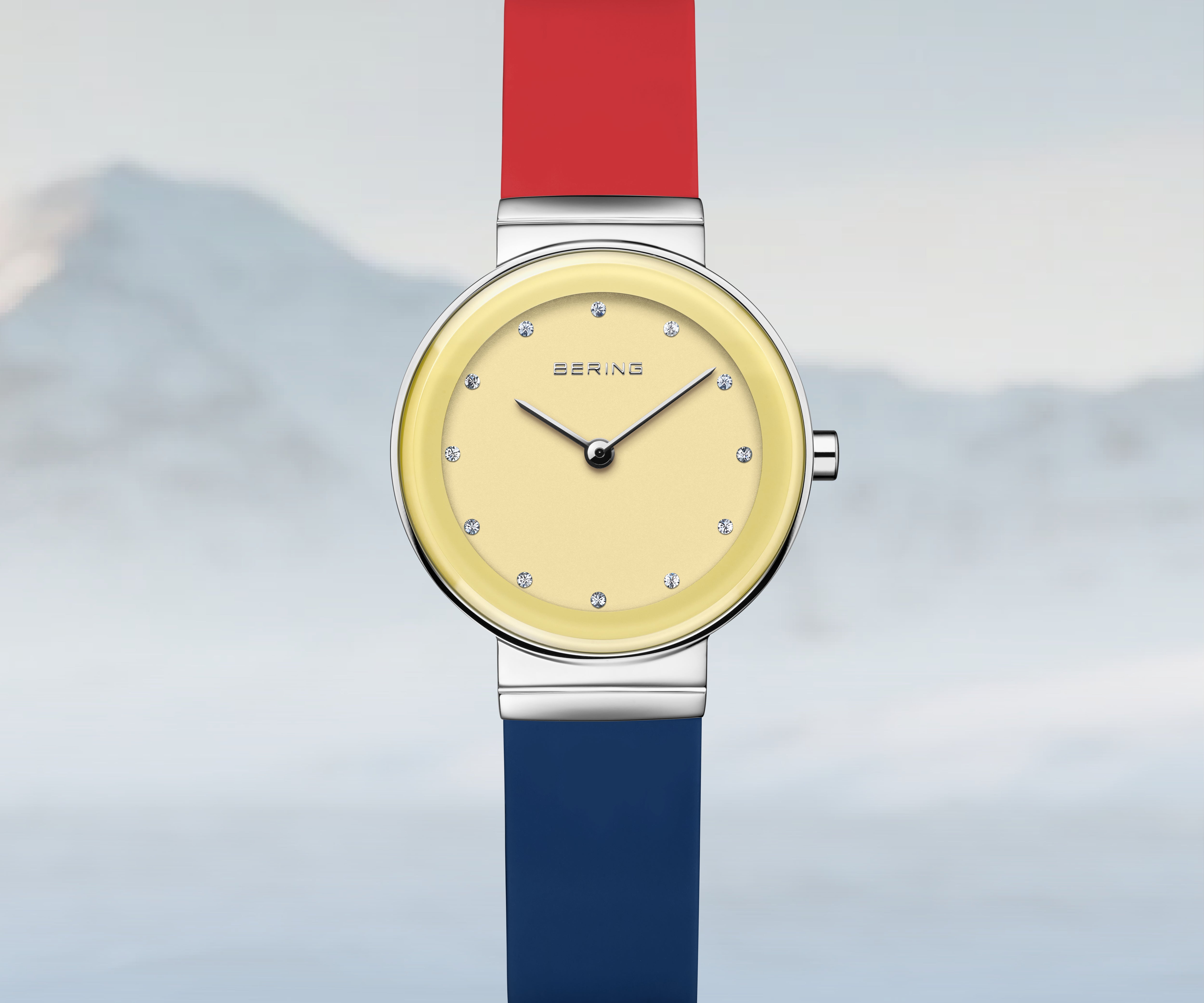 なかピーさま。専用です。 13326-Charity